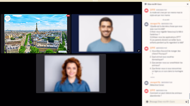 Discord 온라인 프랑스어 수업 화면 — 화면 공유·카메라·채팅으로 대면에 준하는 몰입도